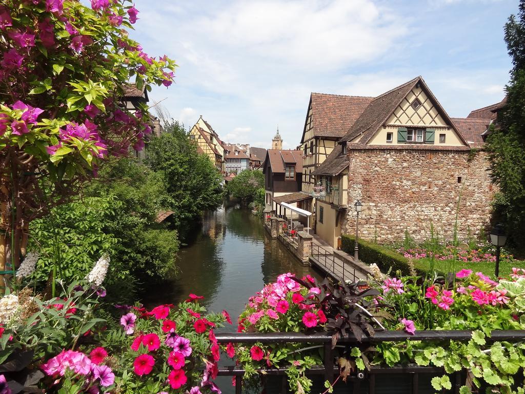 MY SWEET HOMES - Appartements avec SPA Colmar Chambre photo